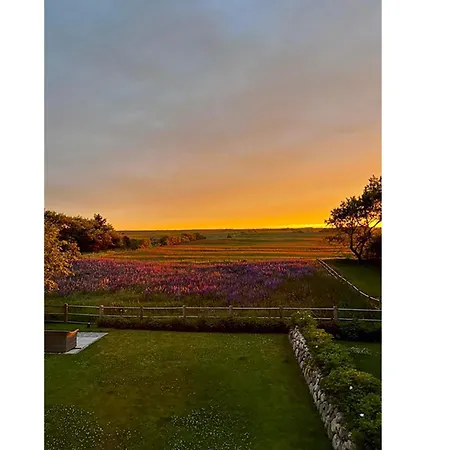 Tatil Evi Litzkow 16103 *